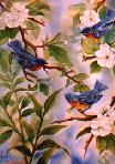 Blue Birds - watercolor
